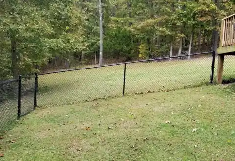 Black chain link fence through a wooded backyard in Bella Vista