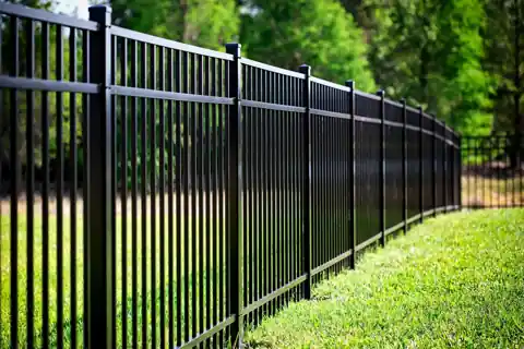 Black ornamental iron fence curving across a lawn in Springdale