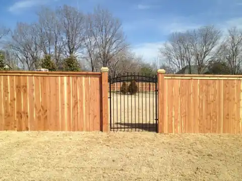 Cedar privacy fence with an arched black iron walk gate