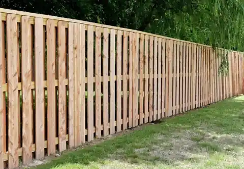 Long pine shadow-box fence run under a willow tree