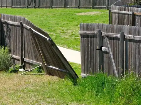 Wind-damaged wood fence leaning over a lawn